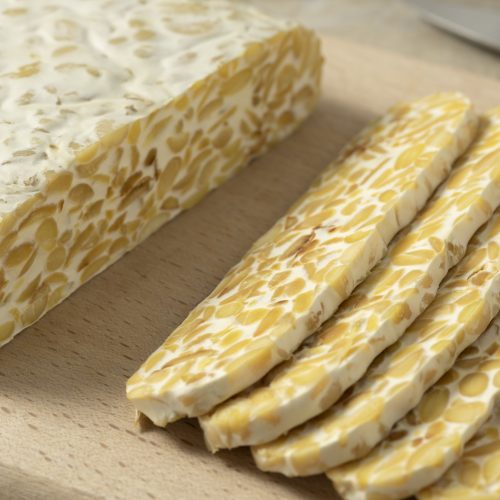 TEMPE EKONOMIS, BERGIZI TINGGI DAN MENYEHATKAN