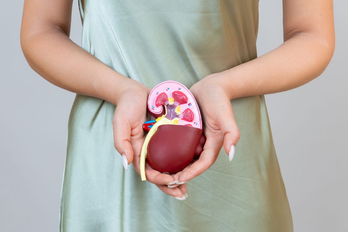JAGA KESEHATAN GINJAL DENGAN PLADO DIET