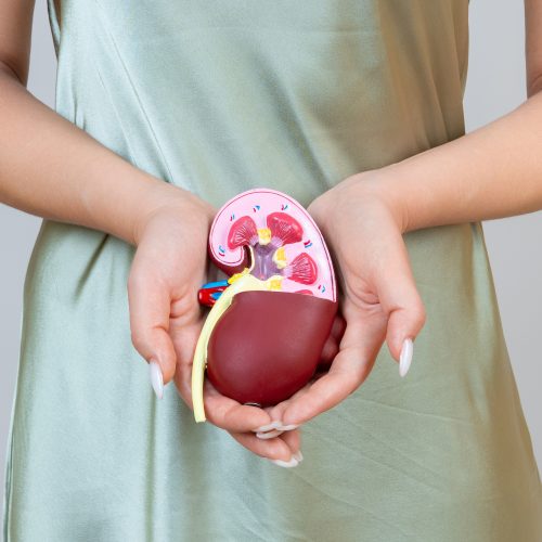 JAGA KESEHATAN GINJAL DENGAN PLADO DIET