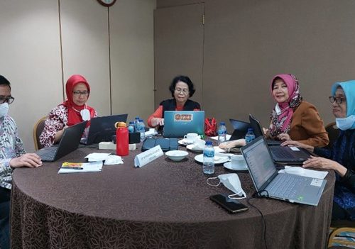 PENYUSUNAN DAN PEMBAHASAN KAMUS KOMPETENSI TEKNIS JABATAN FUNGSIONAL KESEHATAN